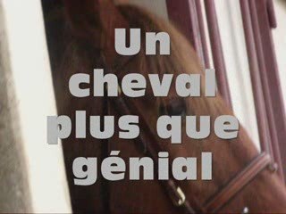 Interpol trotteur français