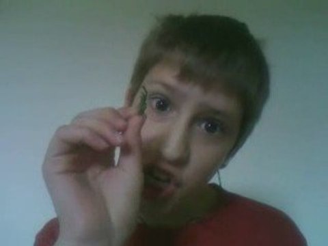 Les petites bêtes David Perusse