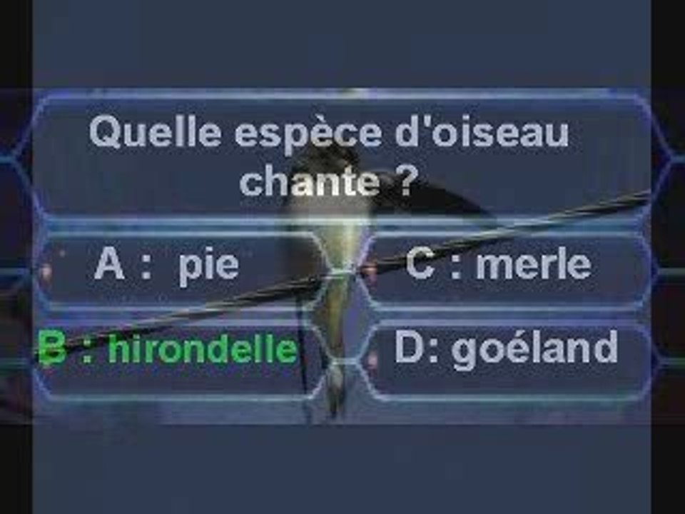 Les chants d'oiseaux - Zénith FM  vivelesSVT.com