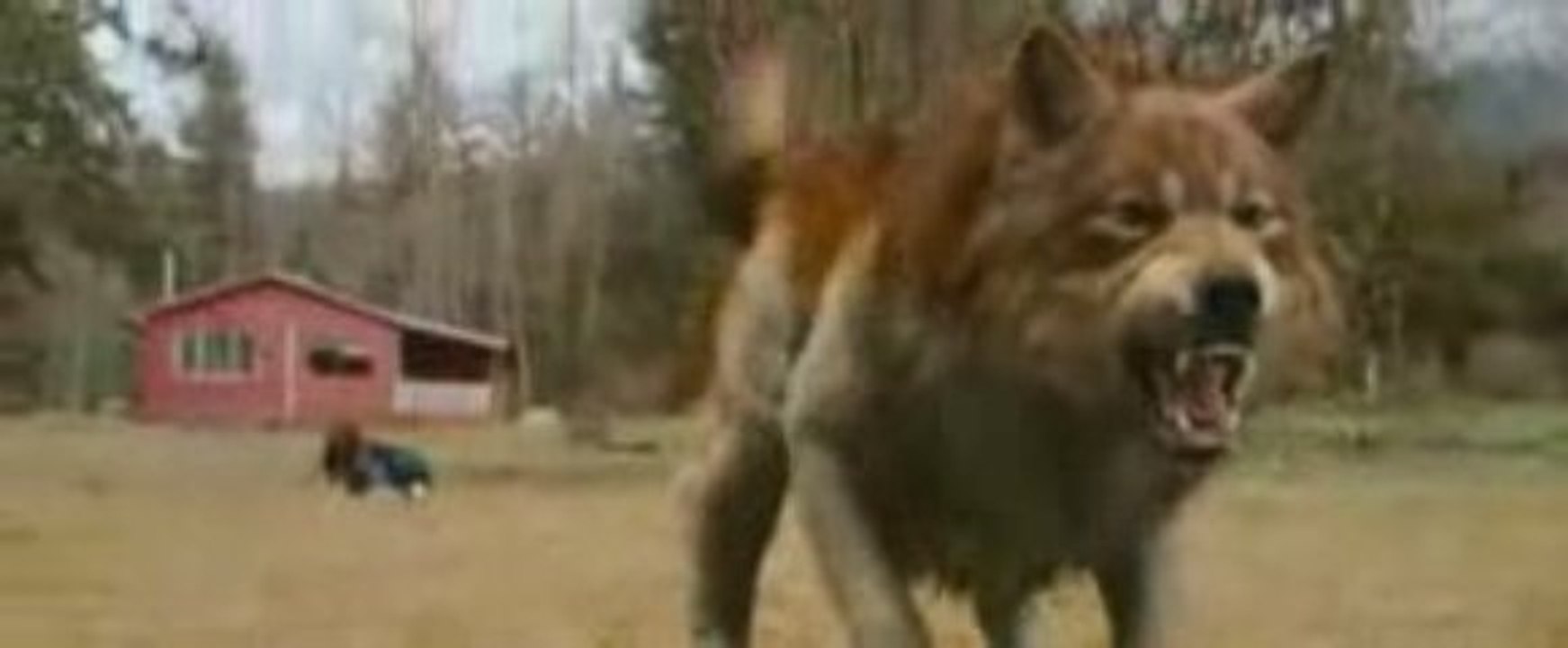 New Moon OFFICIAL Trailer !!! Bande Annonce Officielle !!!