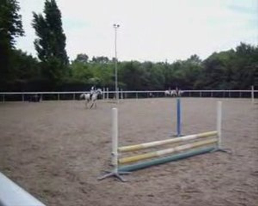 poney saut d'obstacle