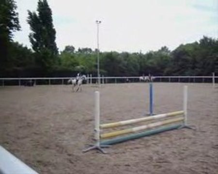 poney saut d'obstacle