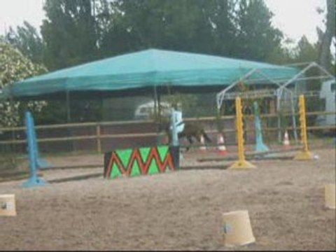 Concours équifun du 31/05/09 avec Loustic