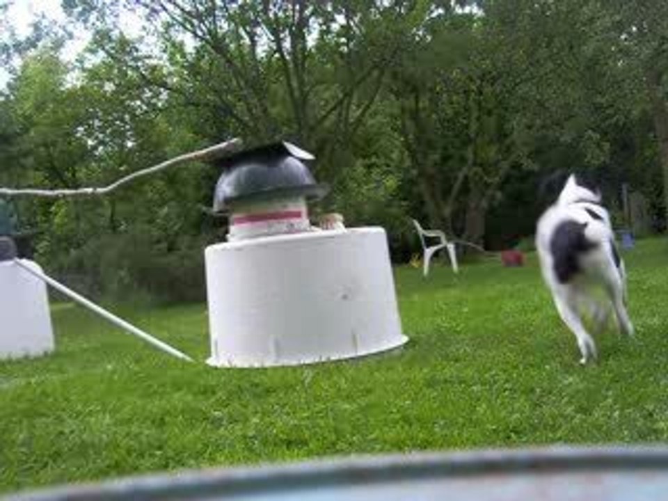 moi quii avé envii de ce prendre pour un cheval