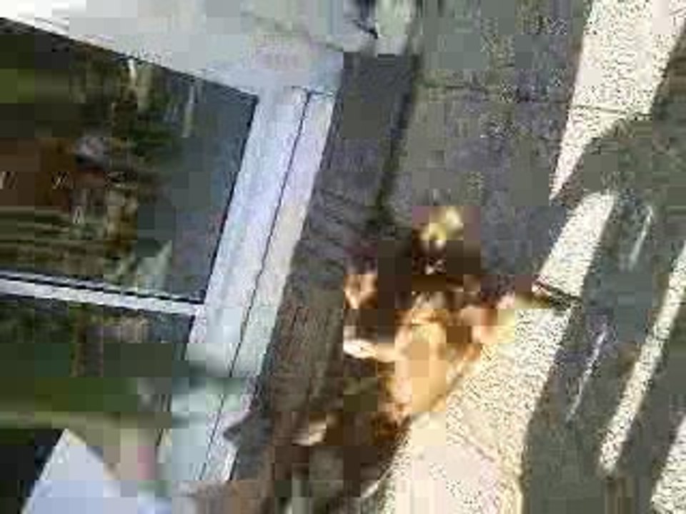 Moi et le ChienFou >