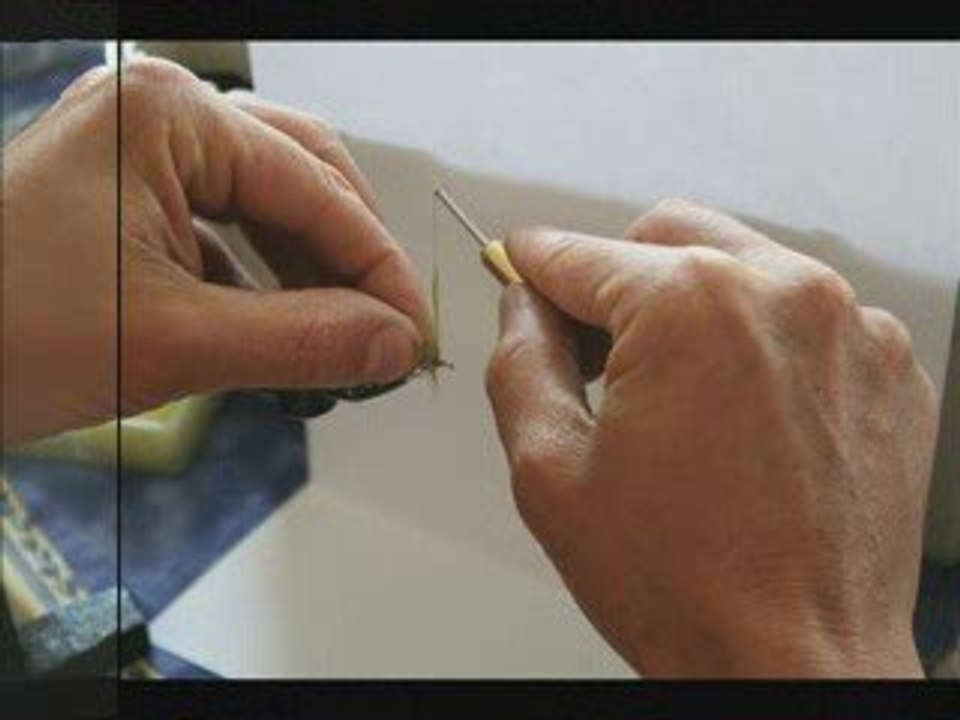 Montage d'une éphémère