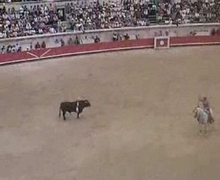 Corrida cheval blc mendoza