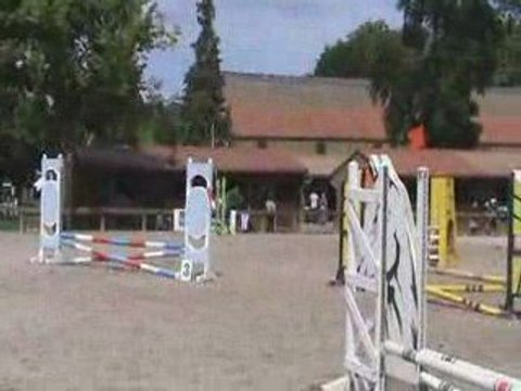 Ficus et moi / Concours de Lorraine - Rosières aux Salines