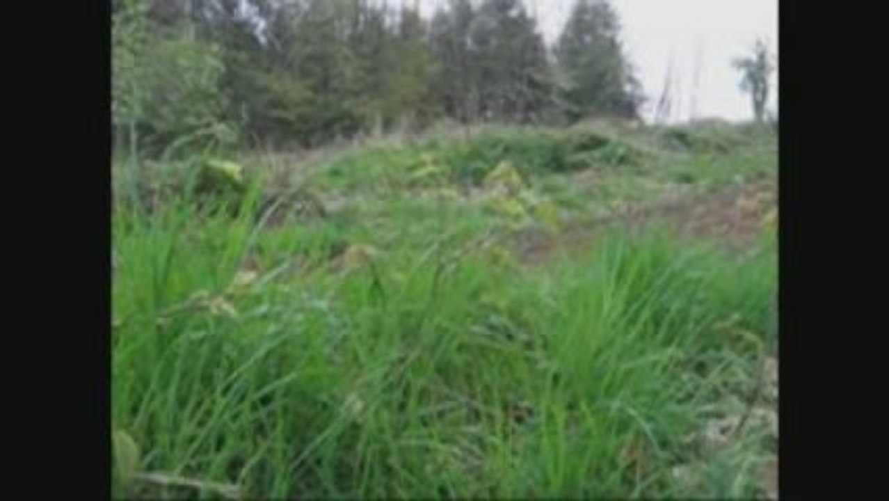 Motocross Grum's Mx Bretagne.com