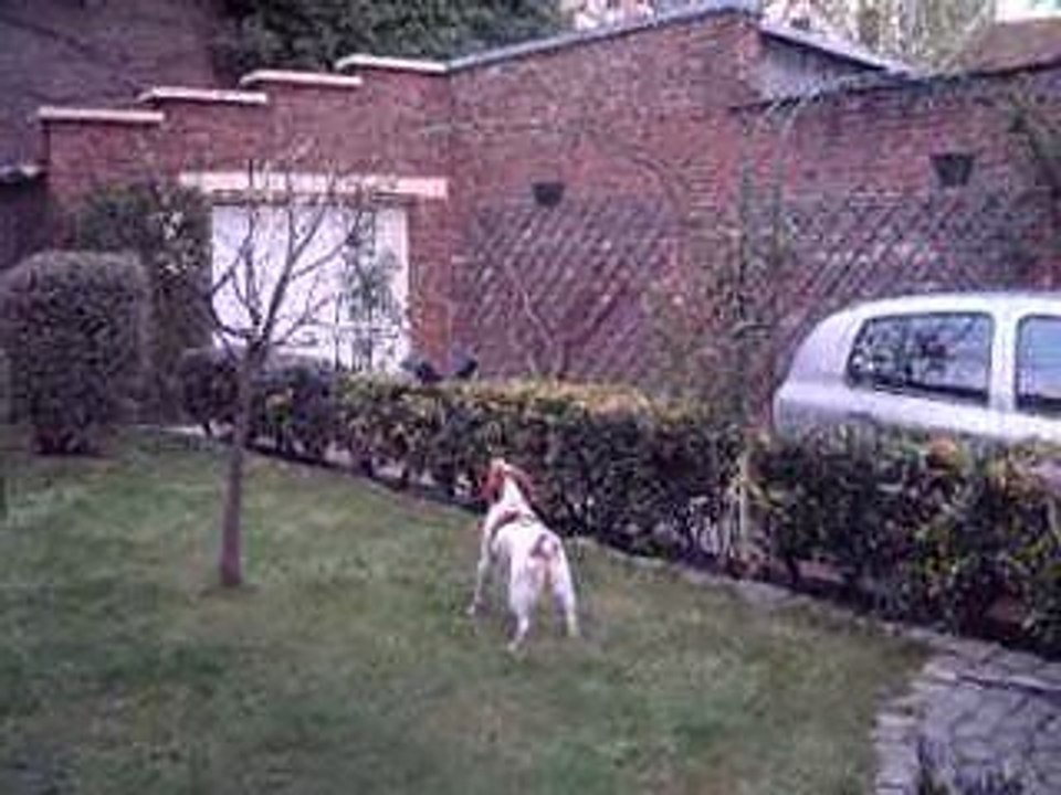 DSCF0106
