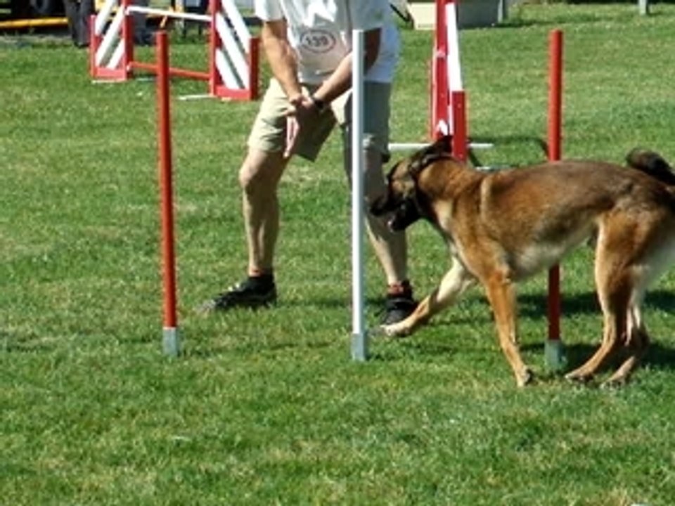 Viet agility 1 trophée