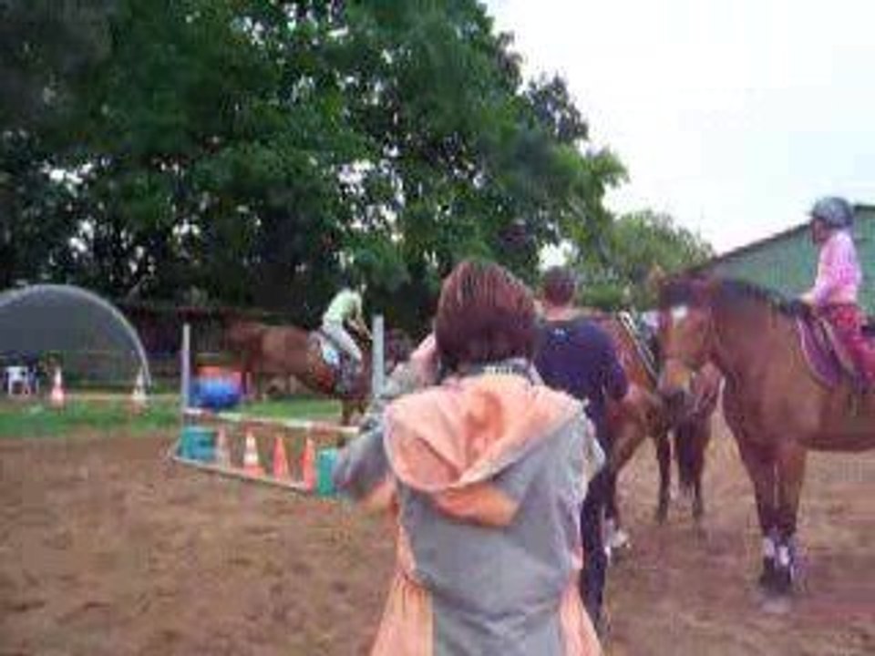 Manix qui saute en licol