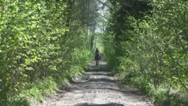 ZRÓWNOWAŻONY ROZWÓJ W PRAKTYCE (wersja 2)