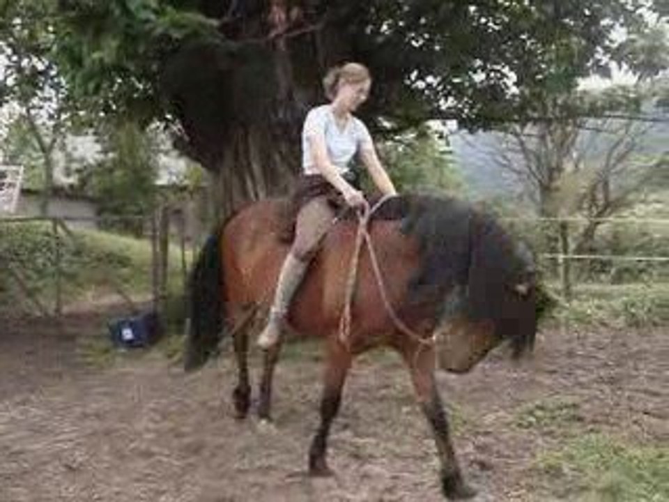 Ethologie du 30 Mai 2009