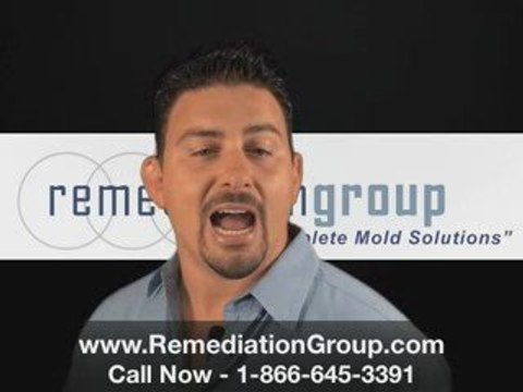 [REMEDIATION GROUP] Atlanta Mold Remediation Ga Mold Removal