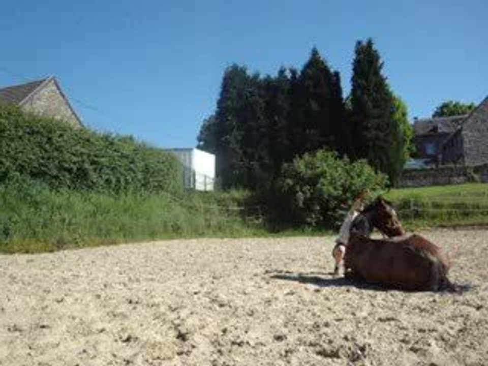 Qwenta se couche et elle adore se rouler :)