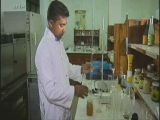 Le cocotier et la noix de coco (2)