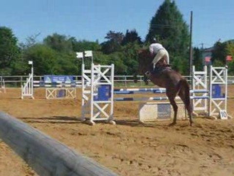 Concours du 31 Mai 2009 à Texonnieras