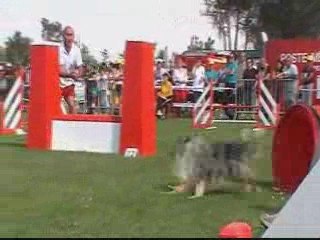 Trophée Equipe Lézignan M2 Thor