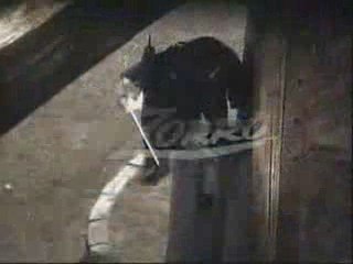 Promo El Zorro (01.06.09)