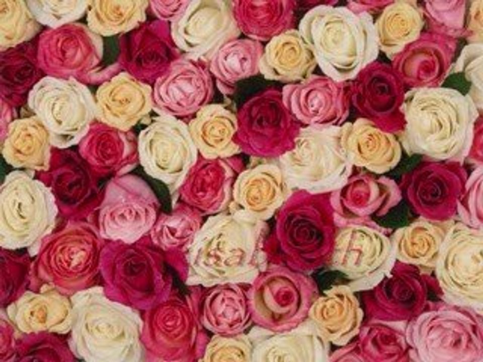 Street  with ROSES