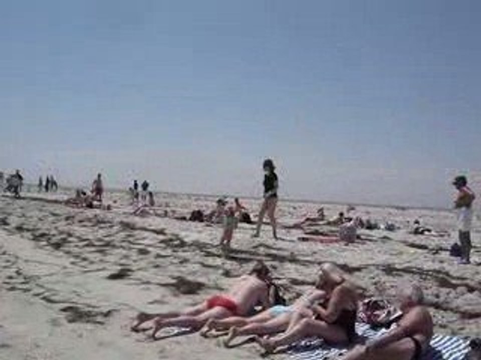 Plage de l'île aux flamants roses Tunisie