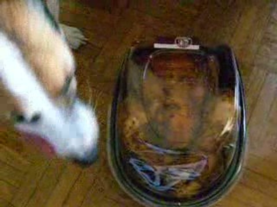 le poulet rôti