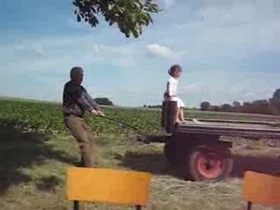 Anniversaire Daniel (2)