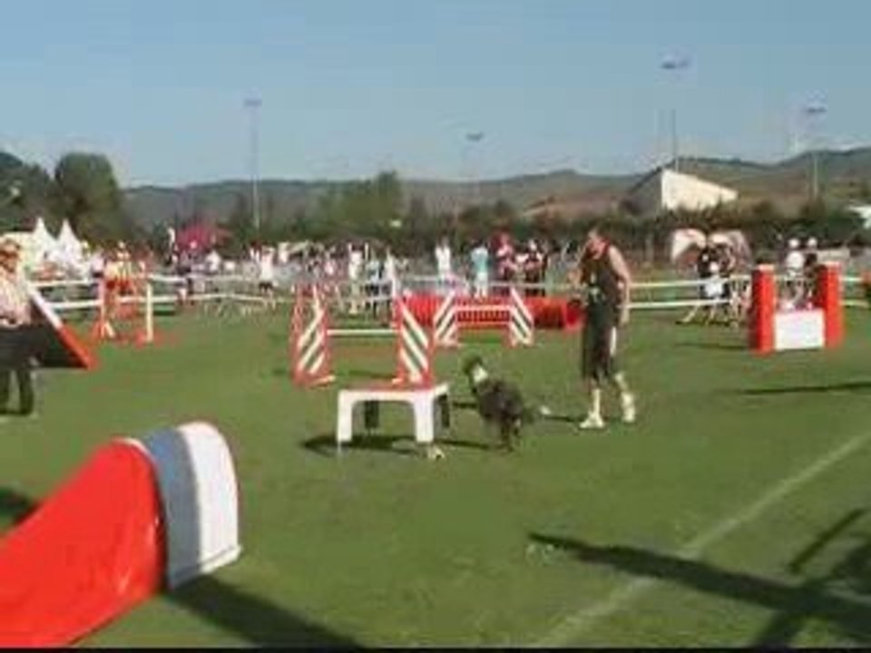 Trophée Equipe Lézignan M1 Tipi