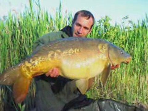 Carpes de l'étang proche de Mars avec Maco Capa