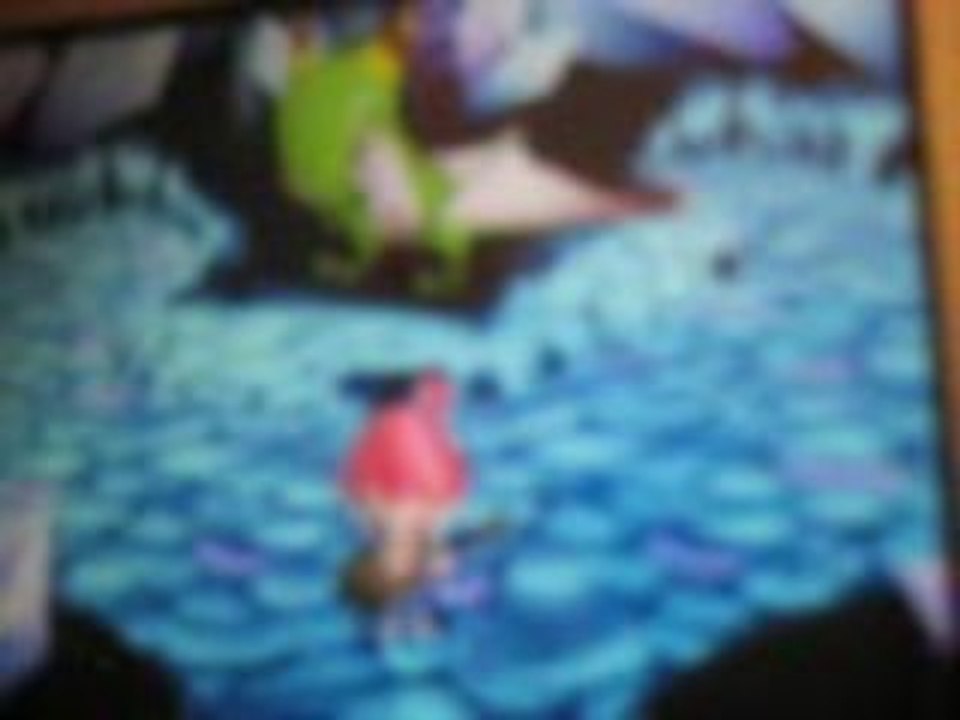 ???36 Guitare acoustique Enchanted Folk DS