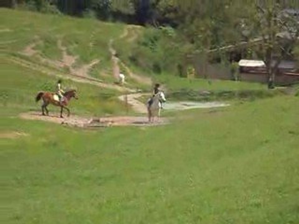 quatcha haie / mania