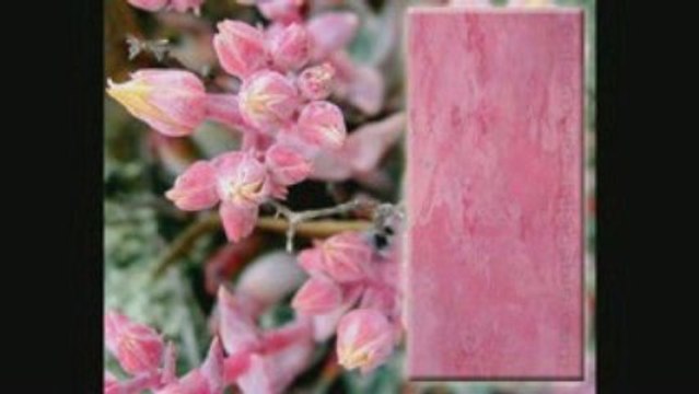 ВЕНЕЦИАНСКАЯ ШТУКАТУРКА мастер классы ДЕКОРАТИВНАЯ ФРЕСКА авторские курсы Киев sites.google.com/site/artfrescodecor/ Artfresco&Decor™Киев - Творческая Мастерская Декора предлагает мастер - классы по Декорированию и Нанесению Декоративной