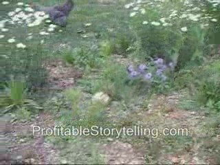 Cat Loves Chickens - as FRIENDS: Profitable Storytelling