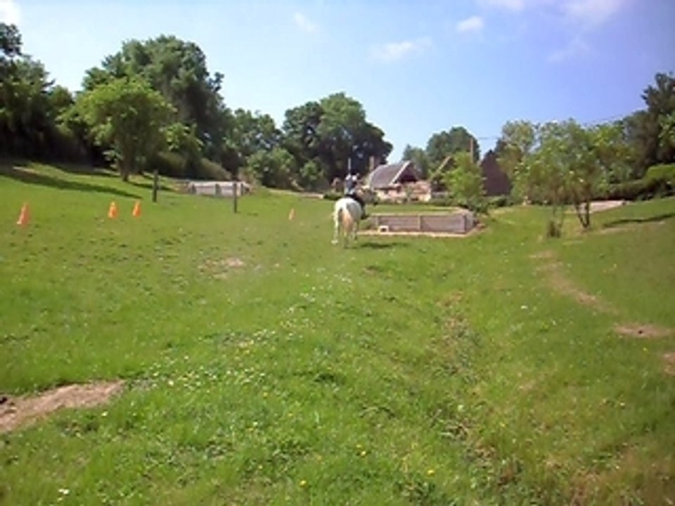 quatcha haie / contre-haut