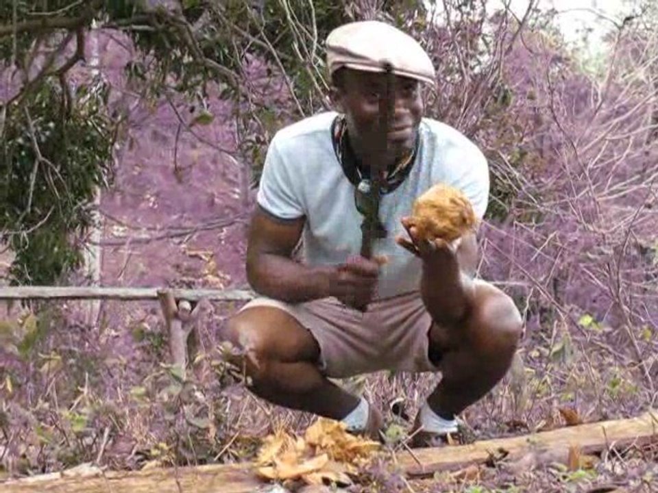 43 Cuba Vinales Jean Garnel noix de coco