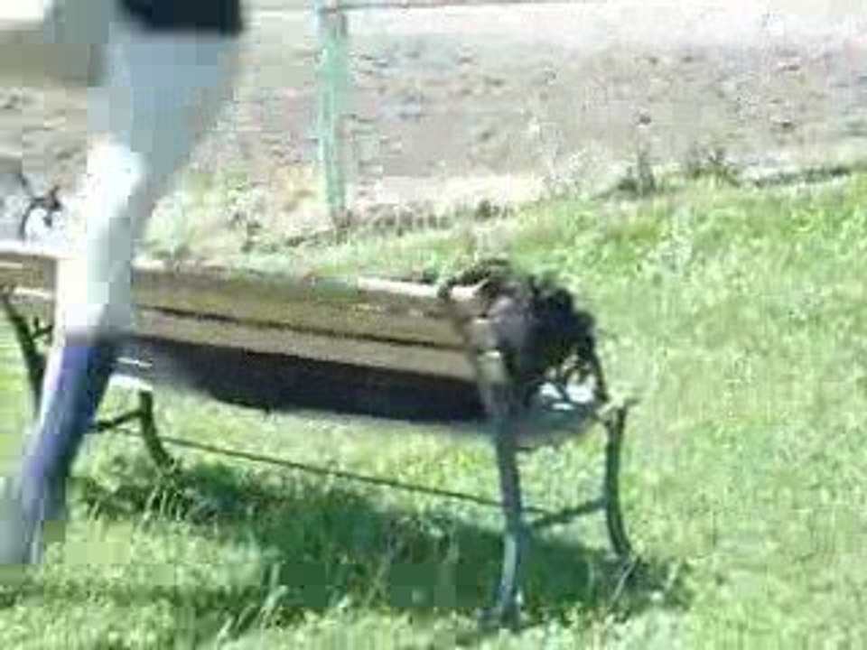 Saut a pied ^^ A la cauviniere