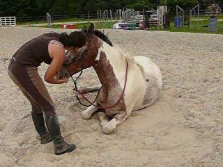 Malcom coucher délire