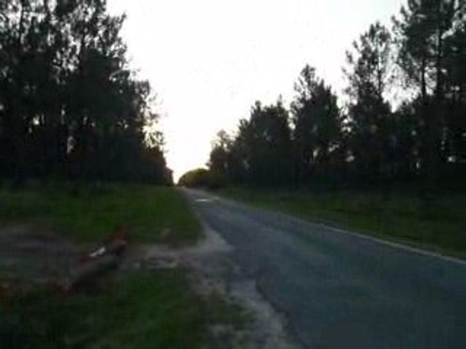 peugeot 106 quiksilver 1,4l collecteur 4 1, ligne, et77b