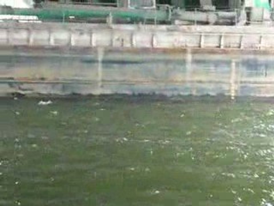 24h_motonautiques_rouen_2009_5