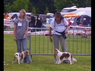 Exposition canine Senlis DOANE