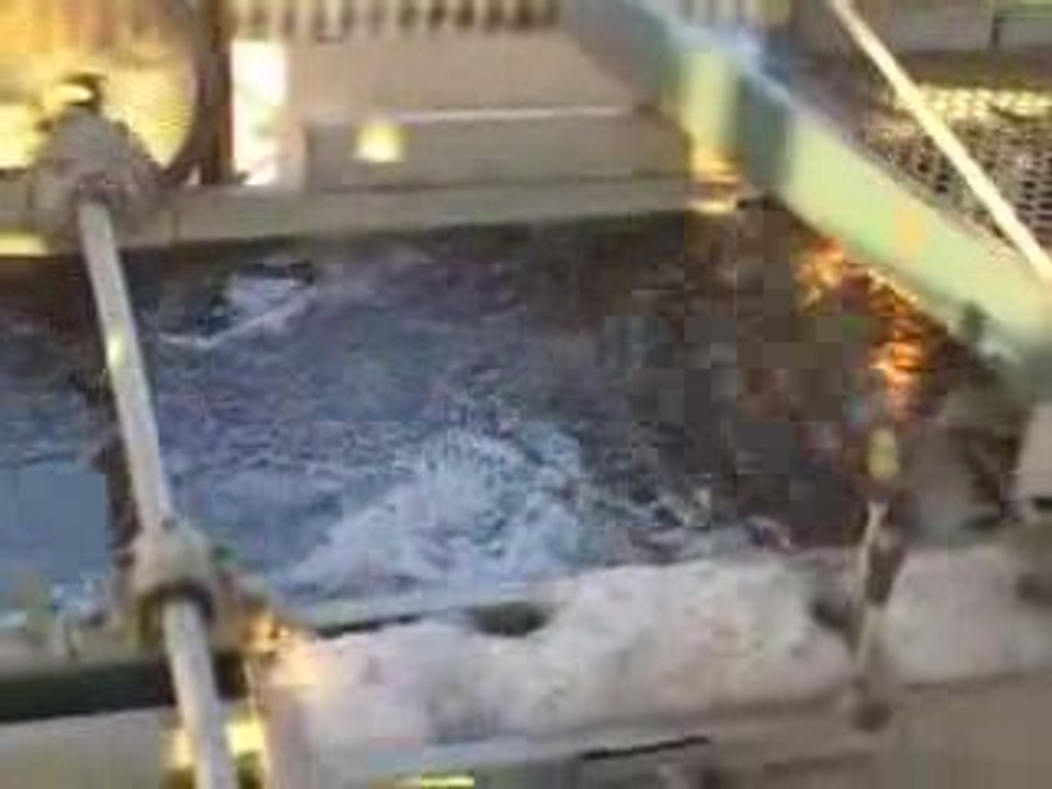 Cafés Especiais do Norte Pioneiro do Paraná