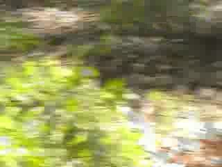 Derby du 31/05/09 avec Illico