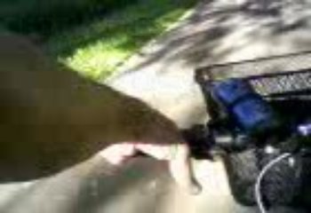 Abd El Haleem,myموعود.عبدالحليم حافظ .غنائي على الهواء الطلق