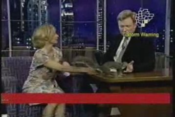 Amy Sedaris
