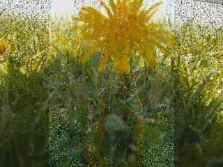 Diapo X.Bichat 2008-2009