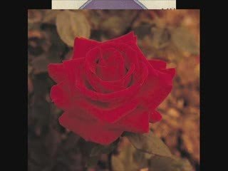 When Your Lover Has Gone-Paul Small