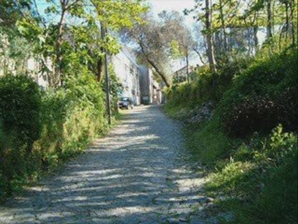 ATÃES-VILA VERDE-PORTUGAL   ( RAÍZES )