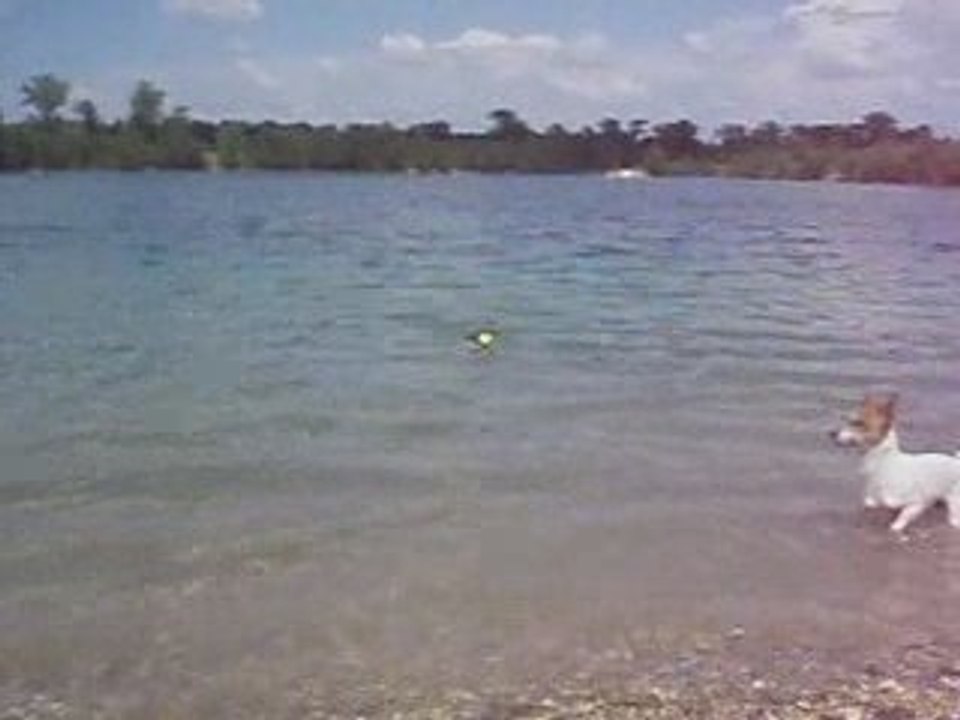 Dely au lac