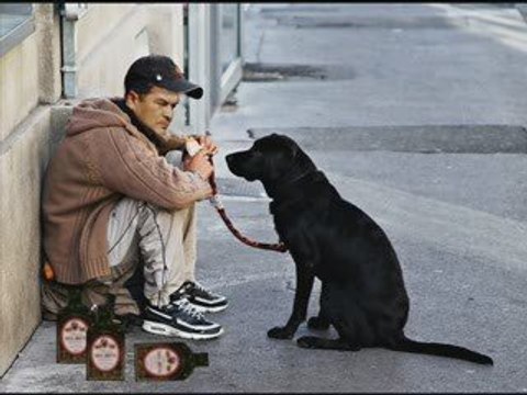tunisie, tunisia, tounes, tunis, toufik ben brik 2